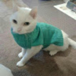 Meet your Posher, Ciara